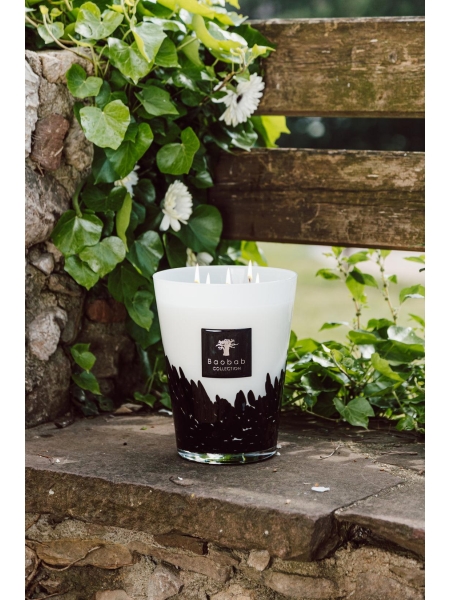 Baobab GEURKAARS MAX 24 FEATHERS