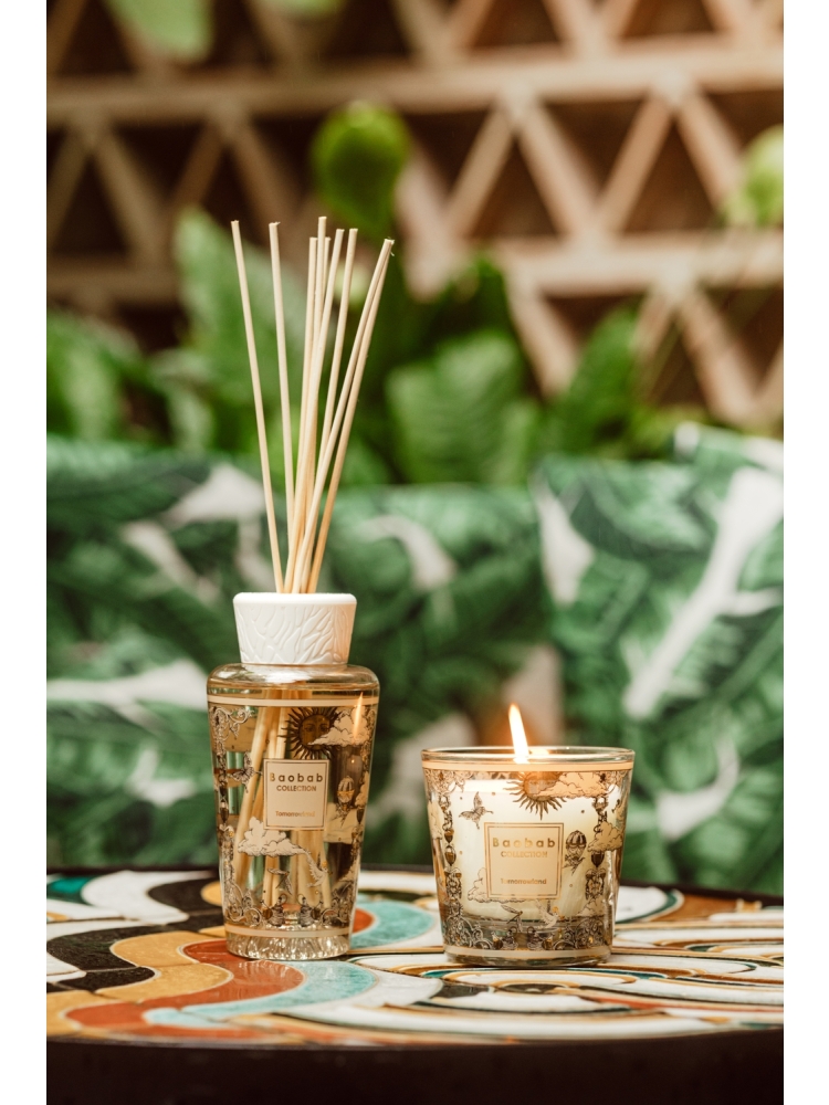 Baobab GEURKAARS MAX 10 TOMORROWLAND