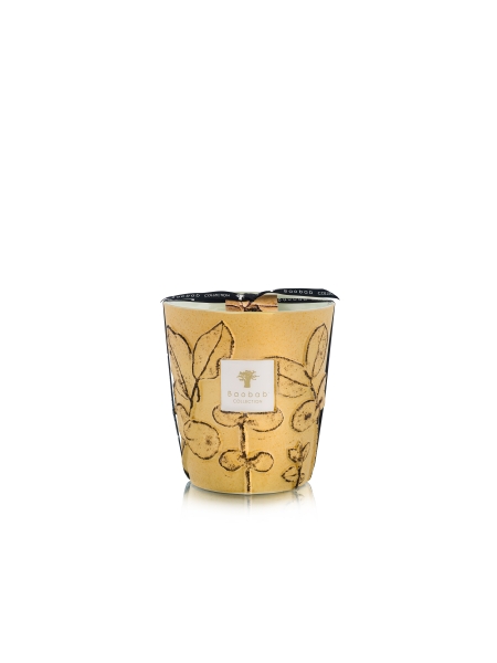 Baobab GEURKAARS MAX 16 FOLIA GARRIGUE