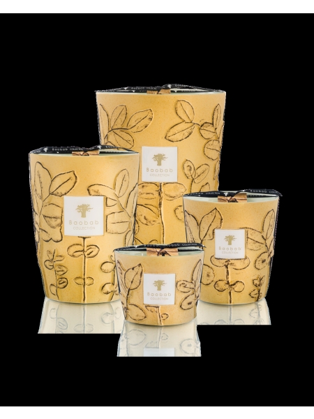 Baobab GEURKAARS MAX 16 FOLIA GARRIGUE