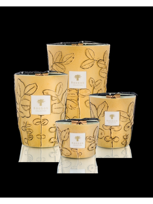 Baobab GEURKAARS MAX 16 FOLIA GARRIGUE foto 2