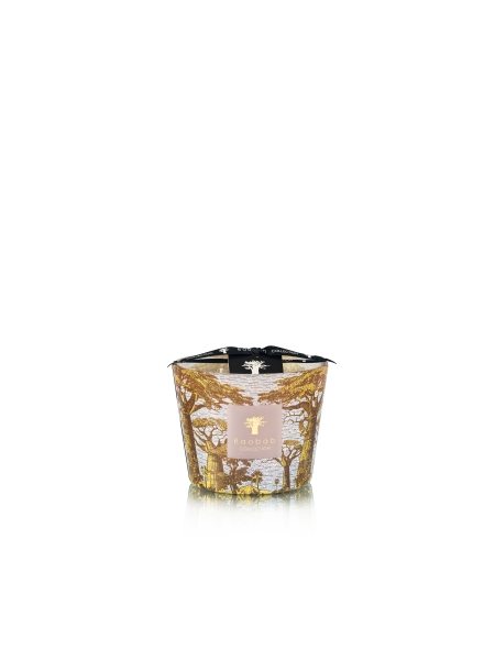 Baobab GEURKAARS MAX 10 SACRED TREES BOUNKANI