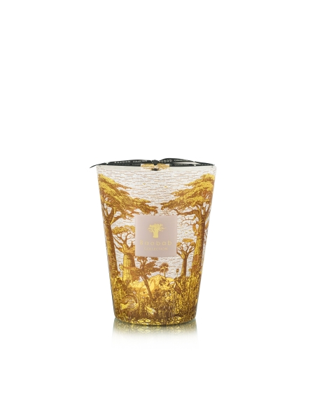 Baobab GEURKAARS MAX 24 SACRED TREES BOUNKANI