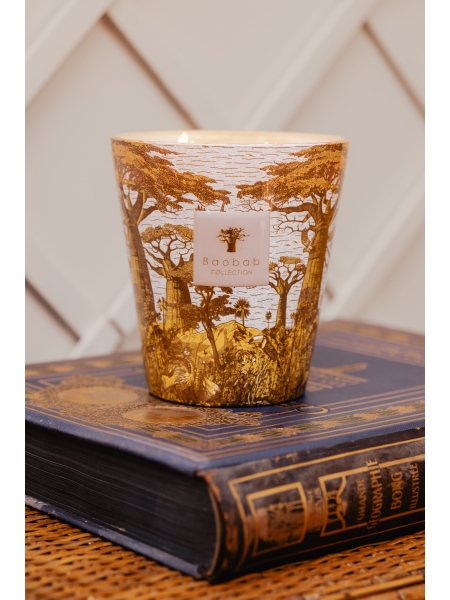 Baobab GEURKAARS MAX 24 SACRED TREES BOUNKANI