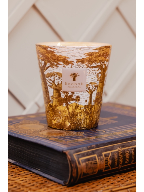 Baobab GEURKAARS MAX 24 SACRED TREES BOUNKANI foto 2