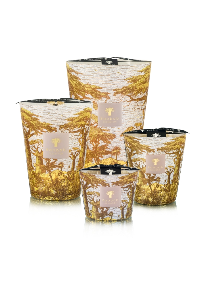 Baobab GEURKAARS MAX 24 SACRED TREES BOUNKANI