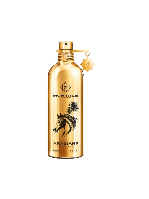 Montale Paris ARABIANS 100ML EDP foto 2