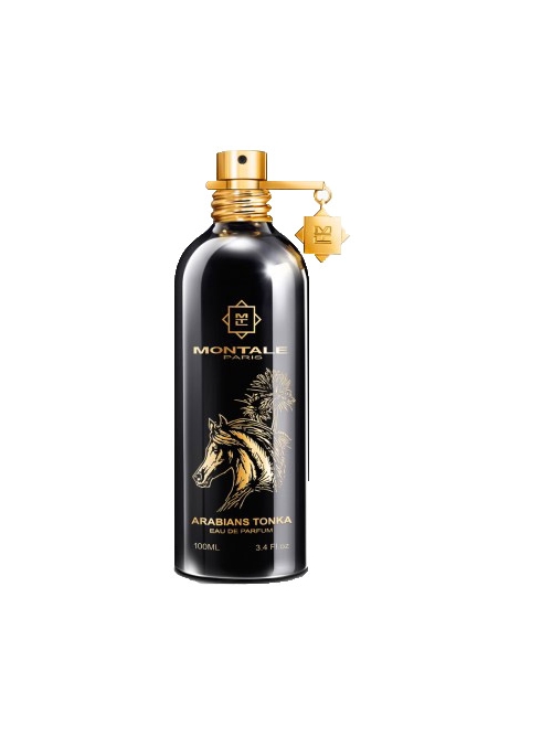 Montale Paris ARABIANS TONKA 100 ML EDP foto 2