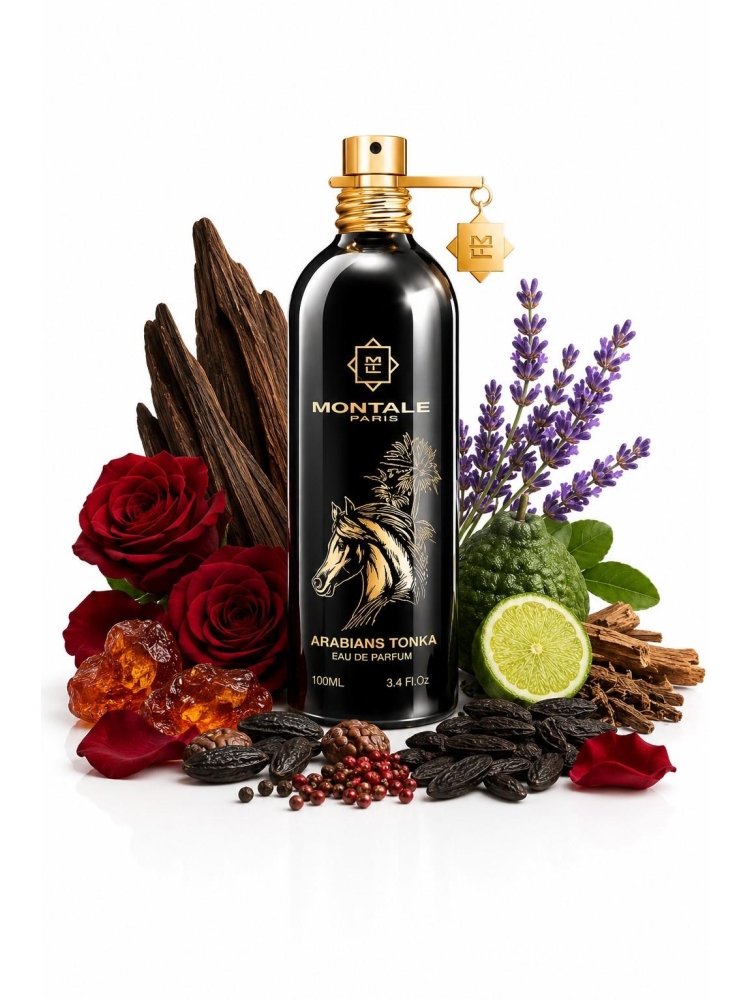 Montale Paris ARABIANS TONKA 100 ML EDP
