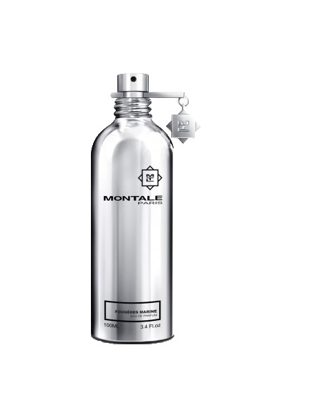 Montale Paris FOUGERES MARINES 100 ML EDP Montale Paris FOUGERES MARINES 100 ML EDP