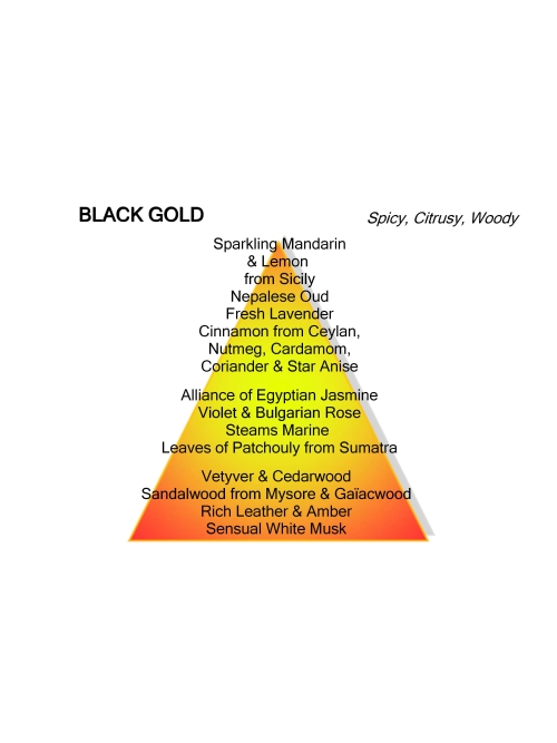 Mancera Black Gold 120ML foto 3