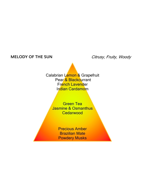 Mancera Melody of the Sun 60ML foto 2