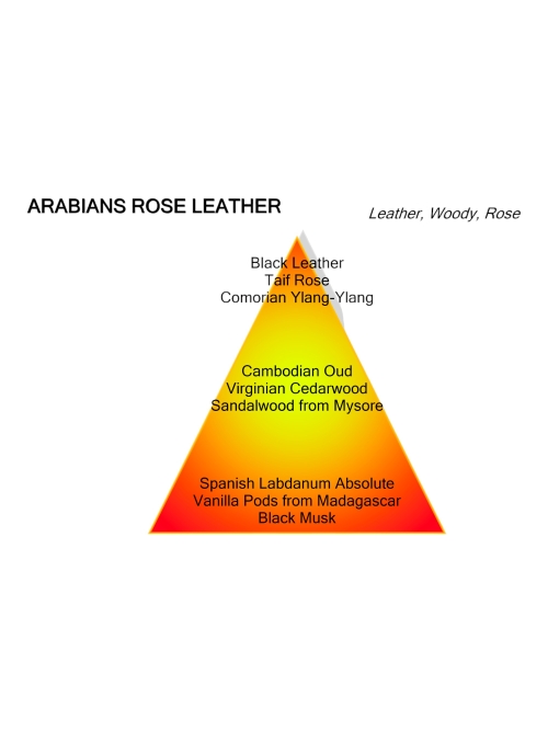 Montale Paris ARABIANS ROSE LEATHER 100ML foto 3