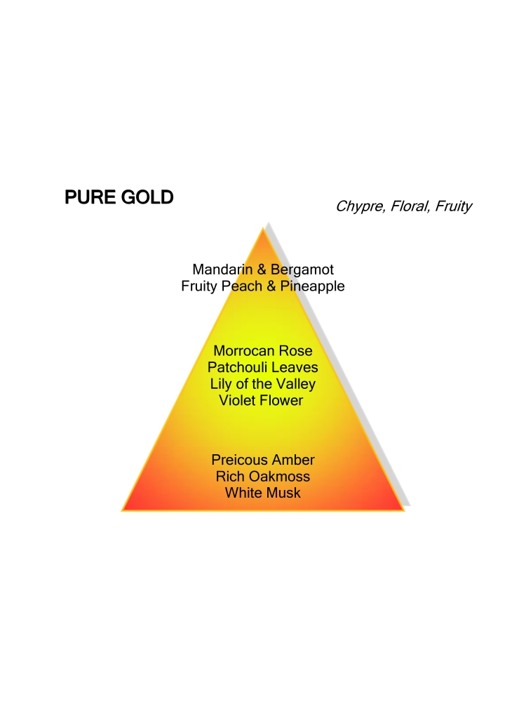 Montale Paris PURE GOLD 100ML EDP
