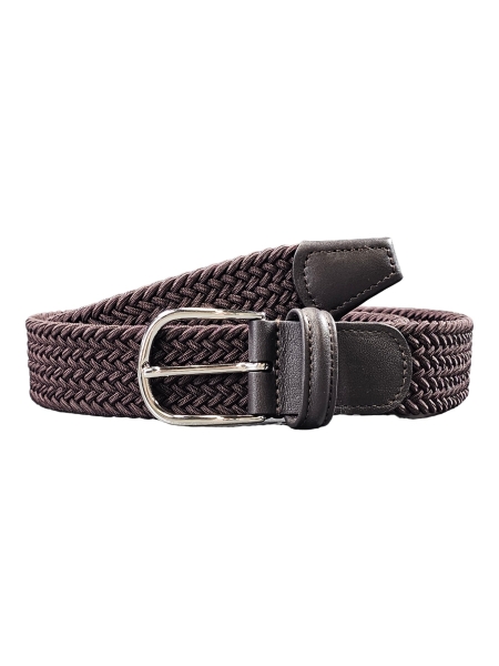 anderson's B0667 Bruin