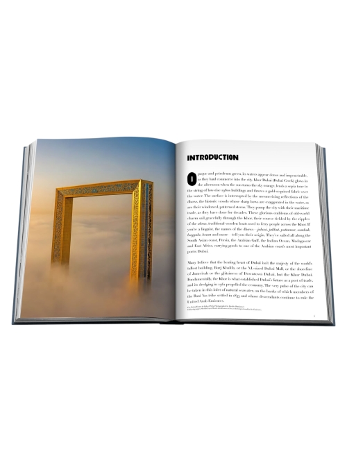 Assouline DUBAI WONDER (NEW) . foto 7