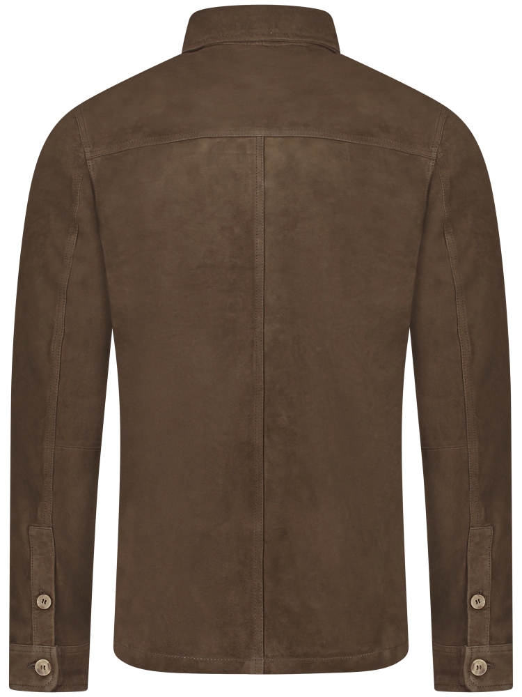 Alter Ego M185 ACE DESSERT PALM