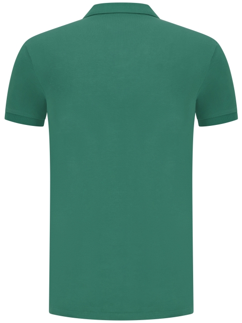 Polo Ralph Lauren  710-680784 427 ANTIQUE GREEN/ANTIQUE foto 2