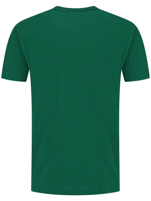 Polo Ralph Lauren  710-811284-W25 046 TENNIS GREEN foto 2