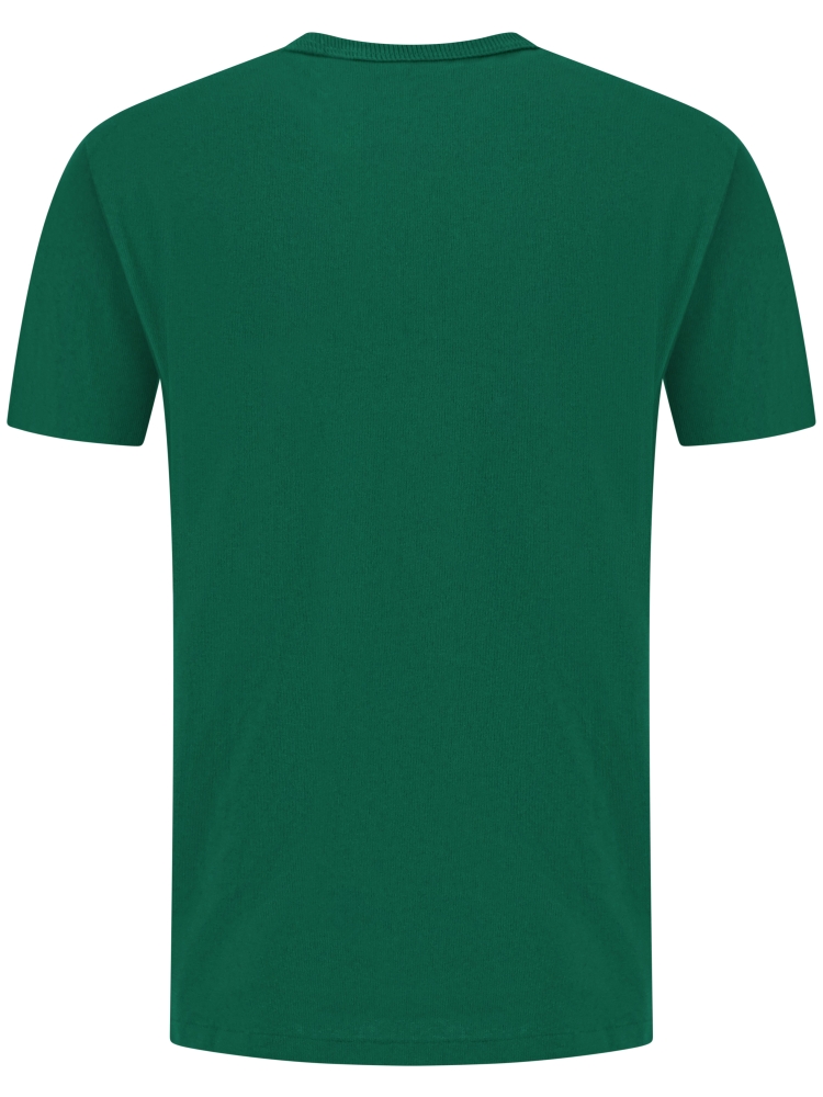 Polo Ralph Lauren 710-811284-W25 046 TENNIS GREEN