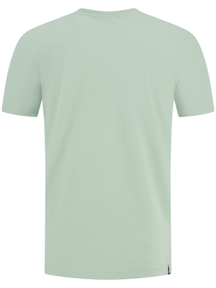 denham 01-26-01-52-035 LAUREL GREEN