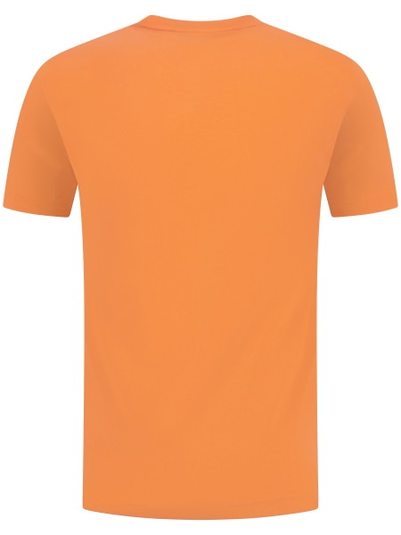 Polo Ralph Lauren  710-671438 457 POM. ORANGE