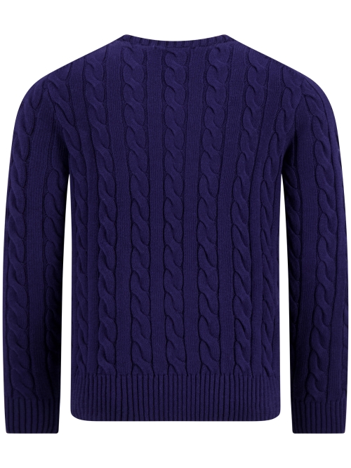 Polo Ralph Lauren  710-775885 536 BRIGHT NAVY foto 3