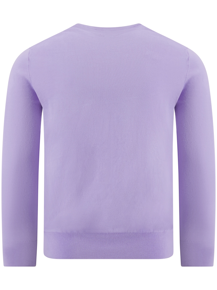 Polo Ralph Lauren  710-890558 512 POWDER PURPLE