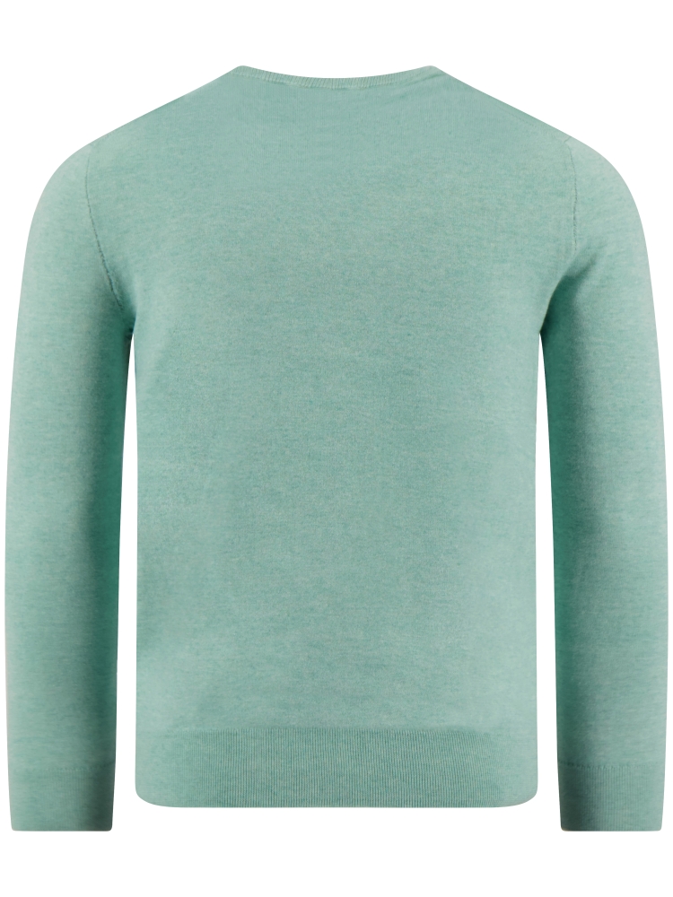 Polo Ralph Lauren  710-890558 513 GREEN SWALLOW HTHR