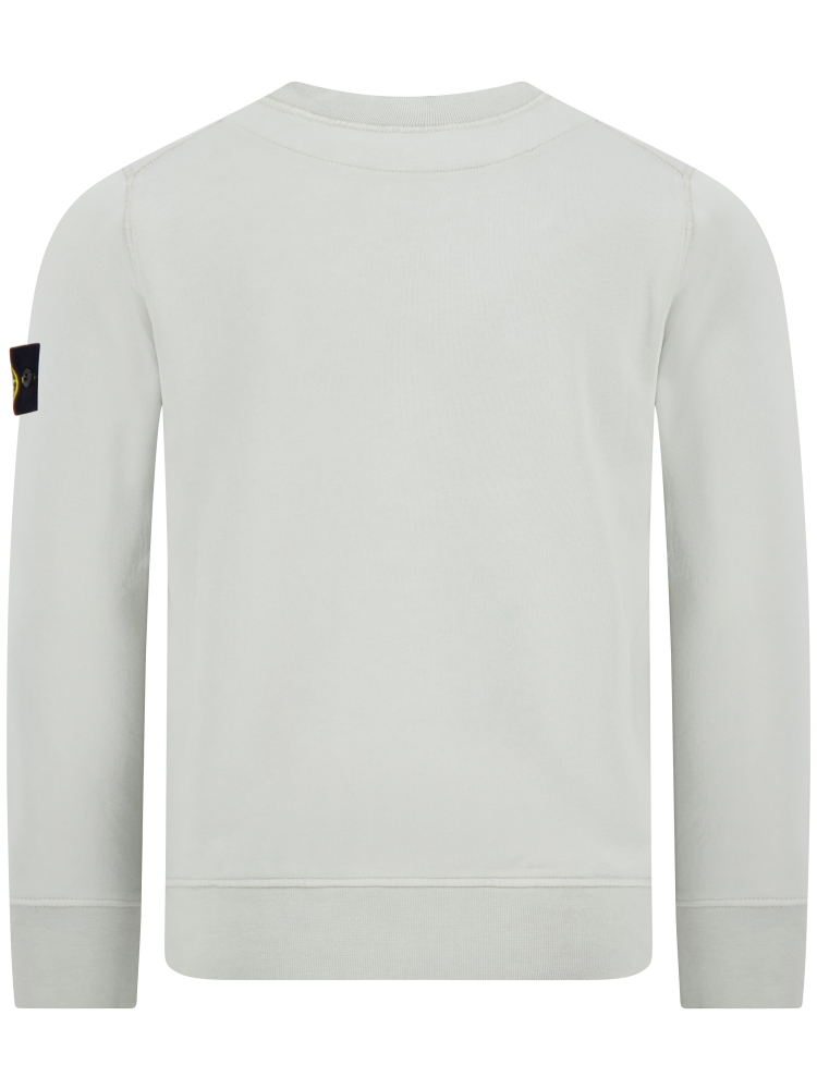 Stone Island L1S15 6100060 S0051 V0055 SAGE