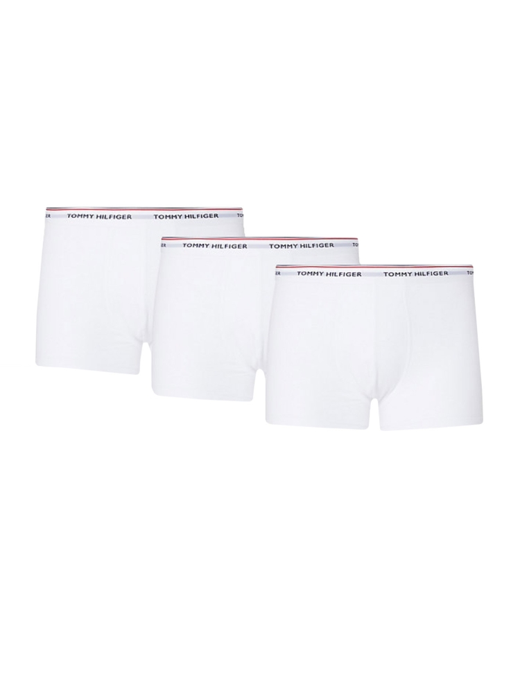 Tommy Hilfiger 1U87903841 100